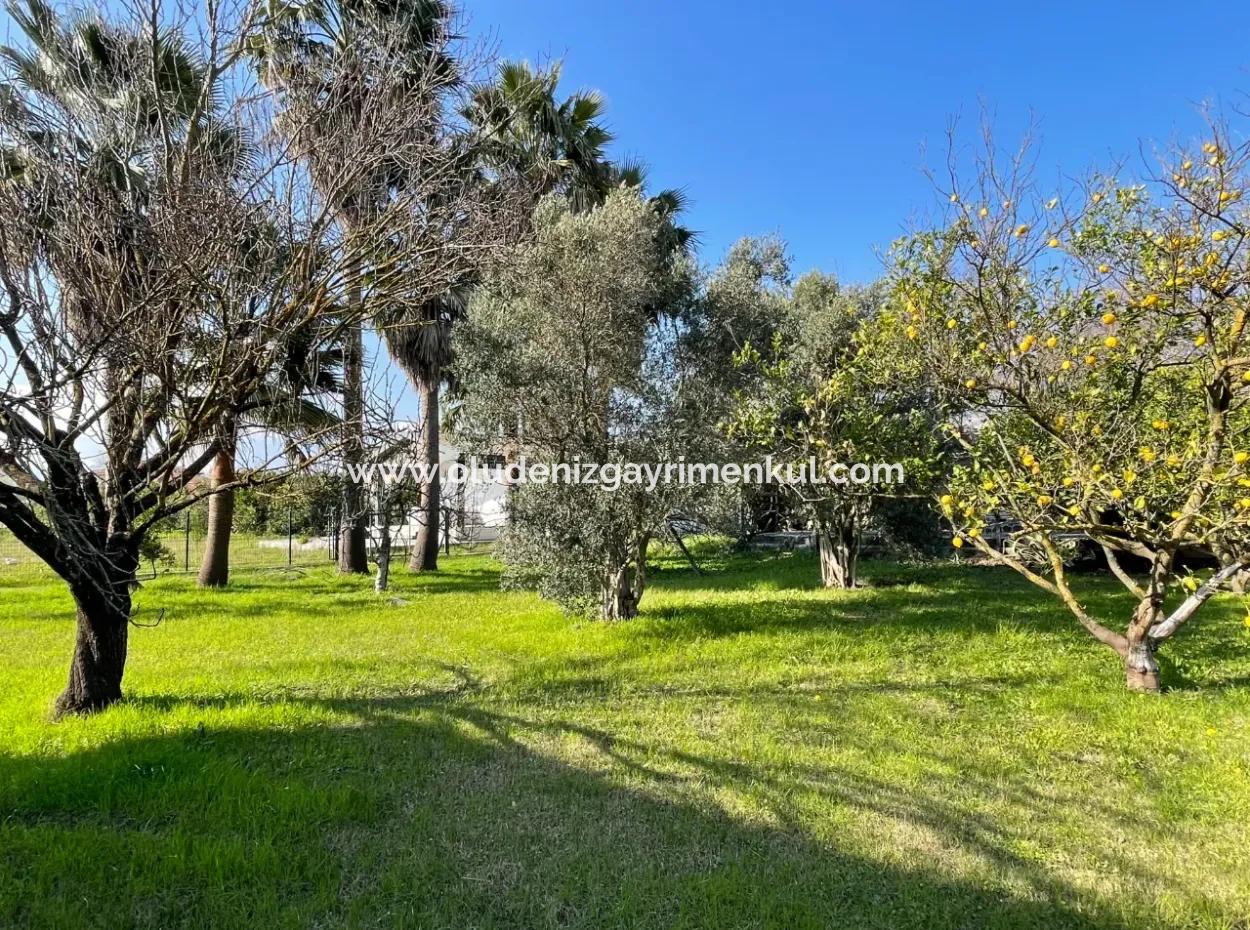 Single Storey House For Sale In A Plot Of 2882 M2 In Eskikoy