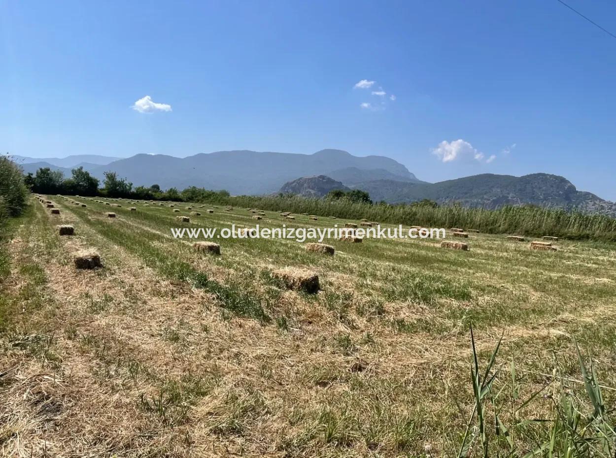 6,500M2 Field For Sale On The Iztuzu Road In Dalyan