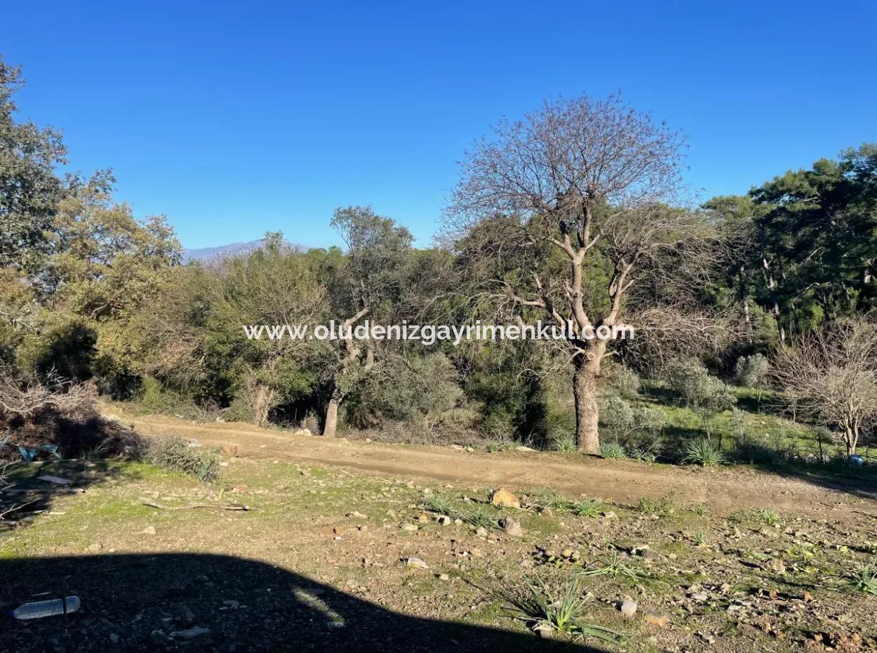 2B Land For Sale With Sea View In Çandır