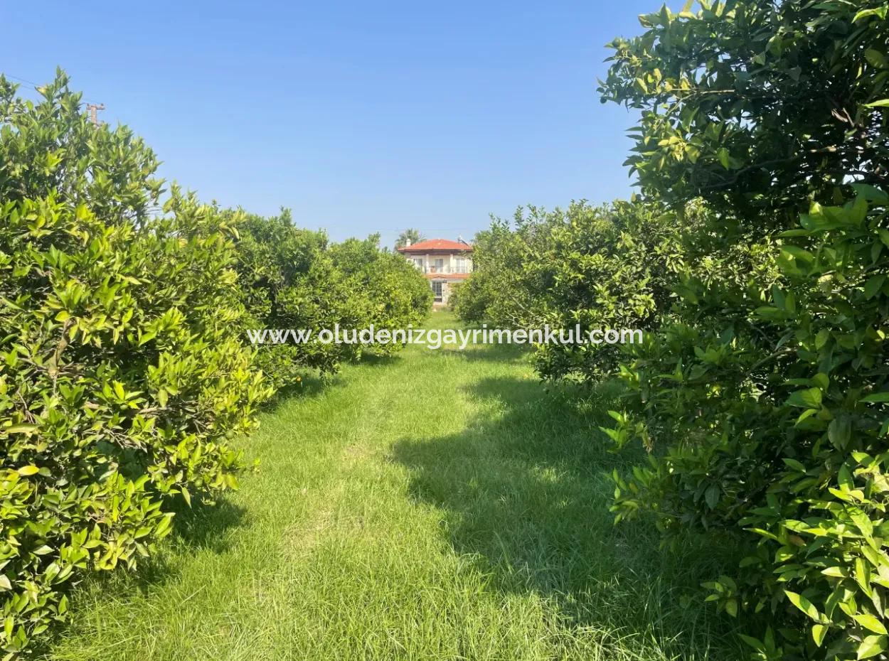 Land For Sale In Gulpinar, Dalyan 722M2