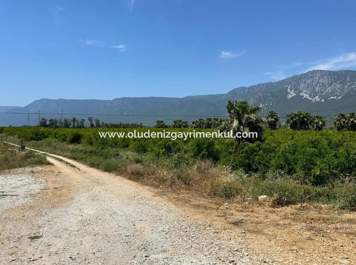 13,500M2 Roadfront Field For Sale In Akyaka Akçapınar