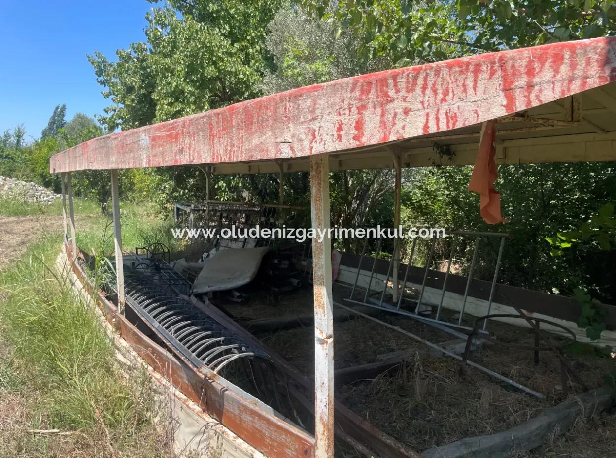 Road-New 6820M2 Pomegranate And Lemon Orchard Is For Sale In Tepearası