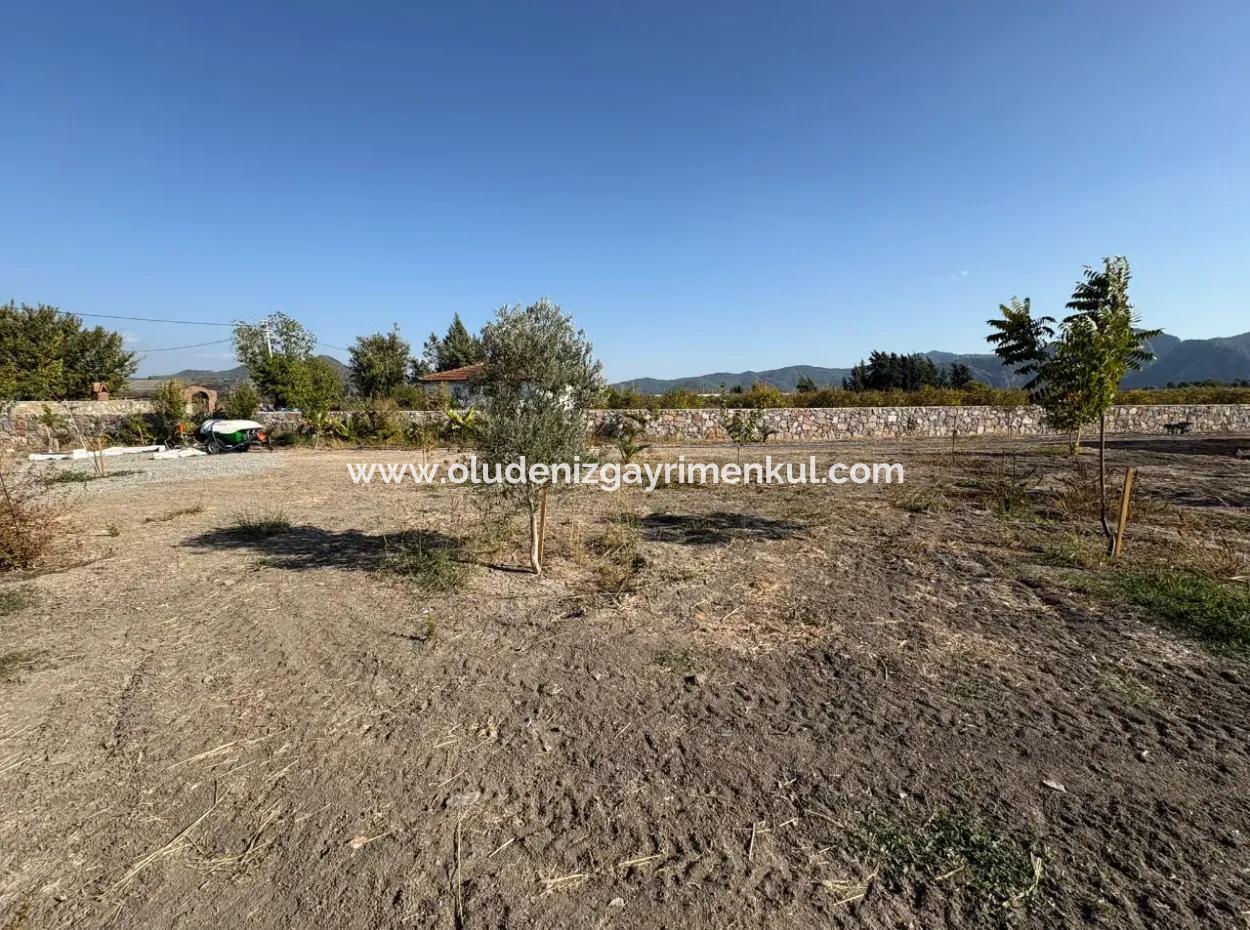 19.663M2 Farm Land And House For Sale In Eskiköy
