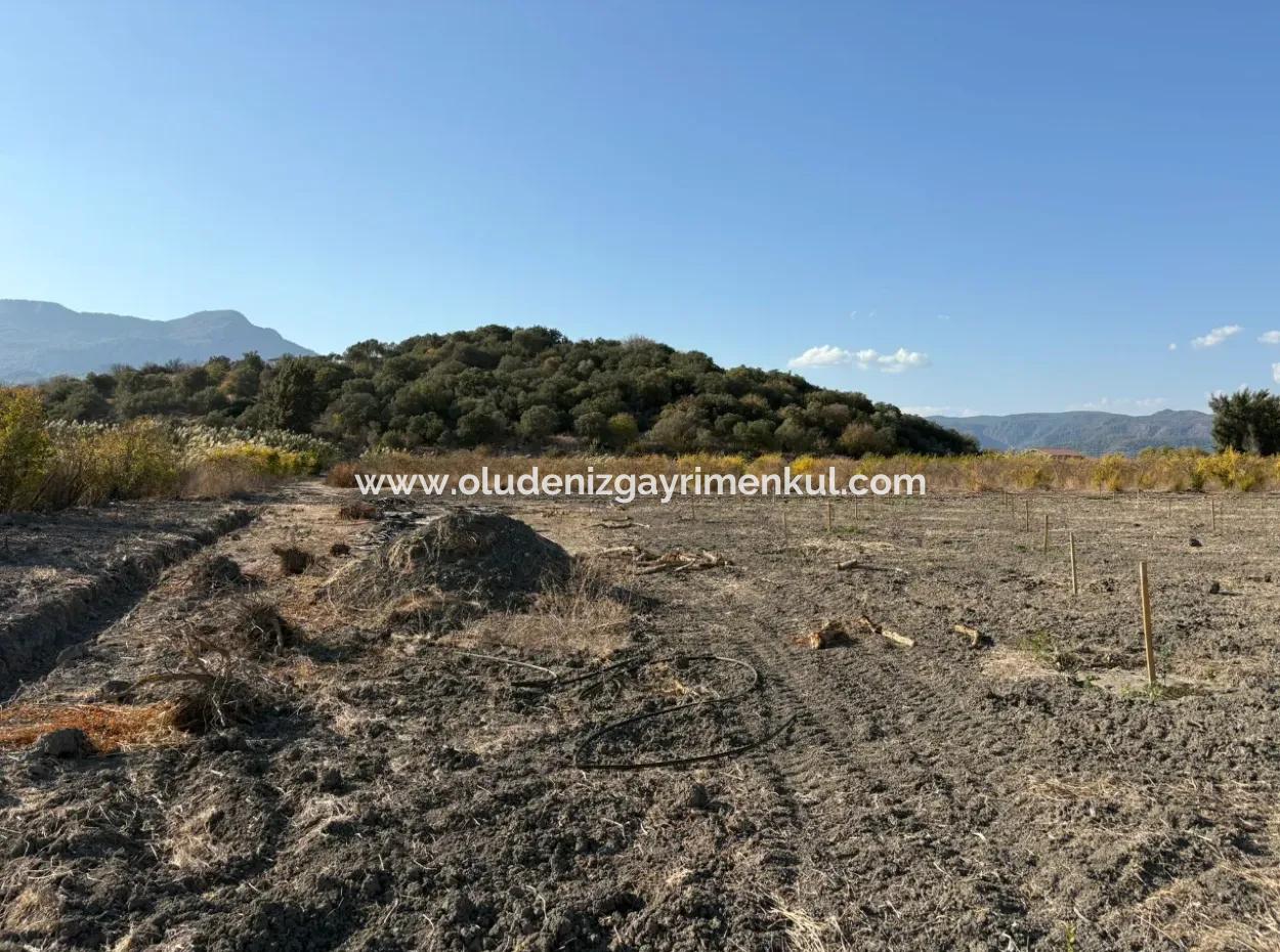 19.663M2 Farm Land And House For Sale In Eskiköy