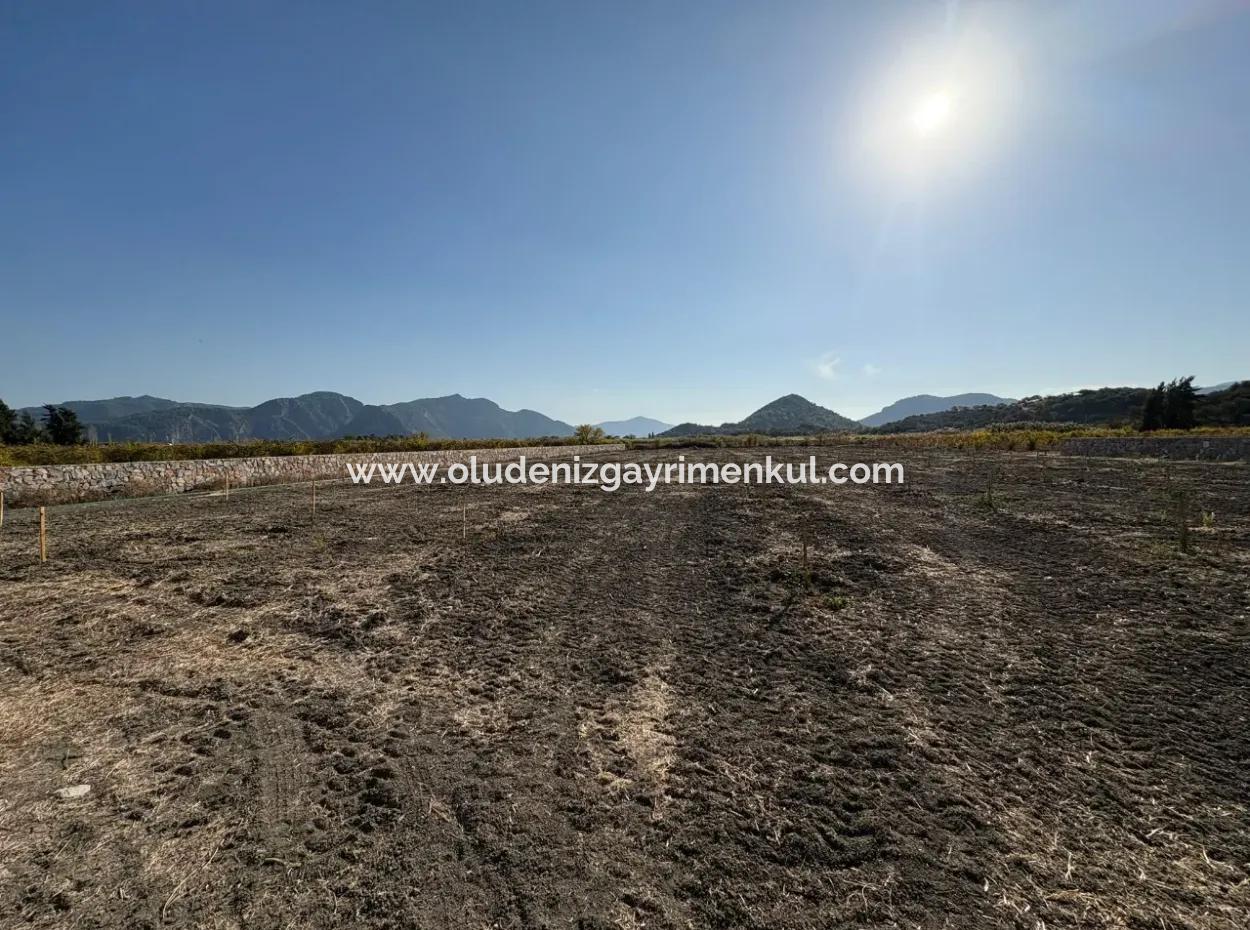 19.663M2 Farm Land And House For Sale In Eskiköy