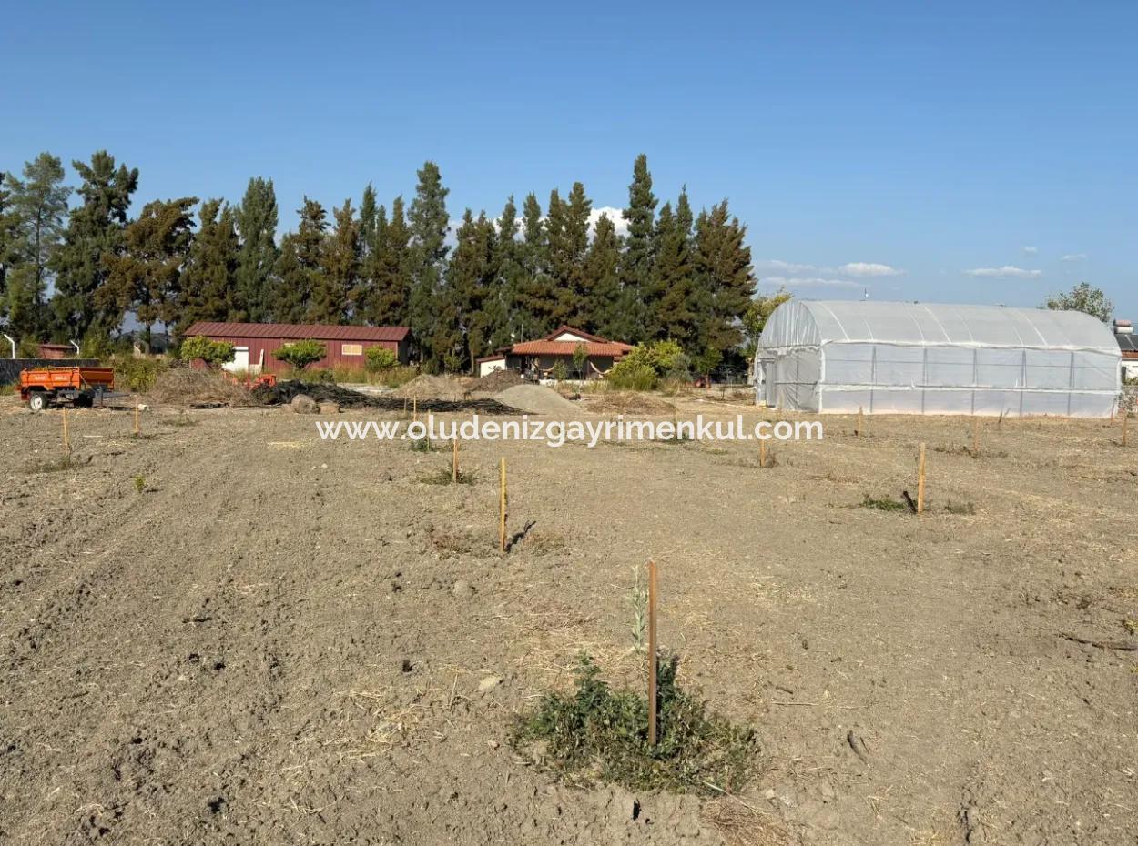 19.663M2 Farm Land And House For Sale In Eskiköy