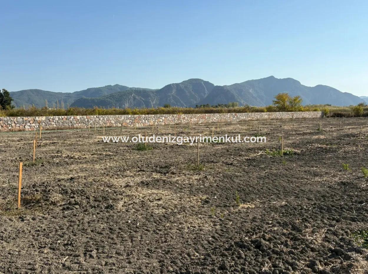19.663M2 Farm Land And House For Sale In Eskiköy