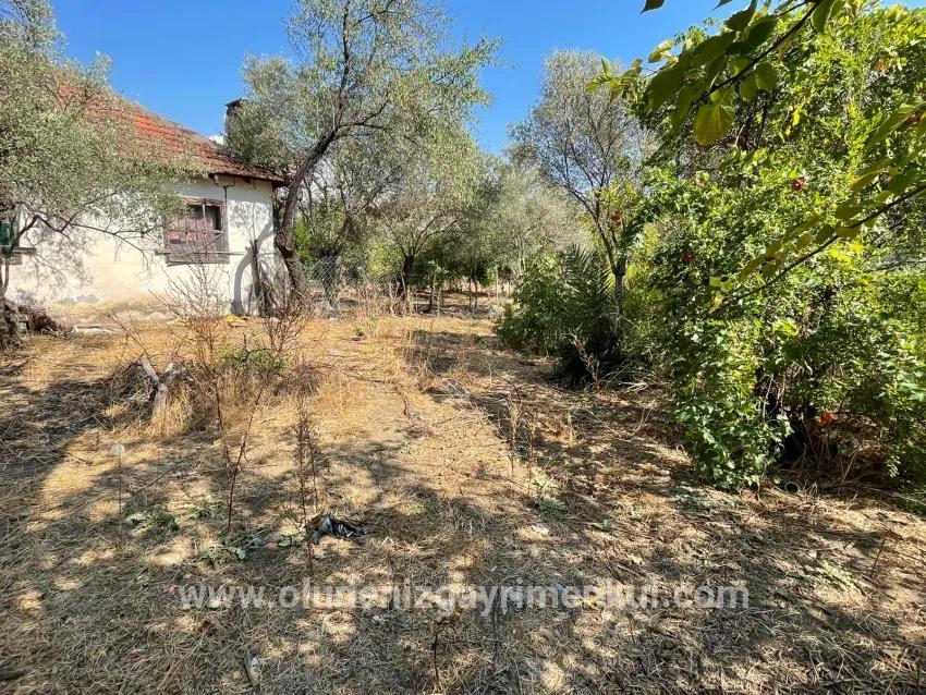 Для продажи Семейный дом 1+0 в Çandır Köyceğiz - 2.765 m²