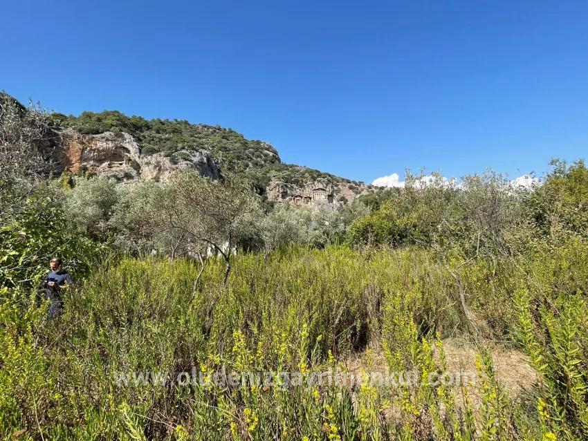Для продажи Семейный дом 1+0 в Çandır Köyceğiz - 2.765 m²
