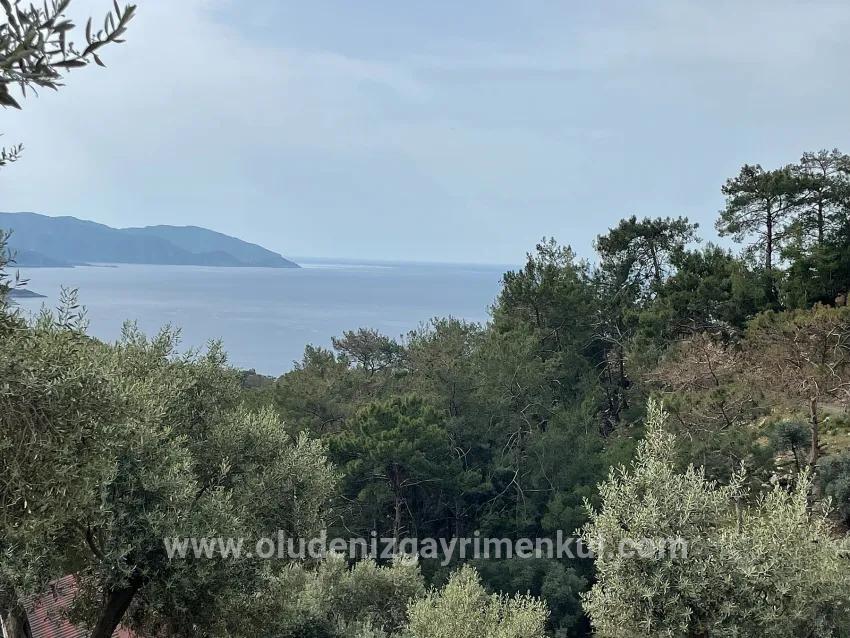 Для продажи Поле в Ekincik Köyceğiz - Под Оливковая роща застройку - 7.000 m²