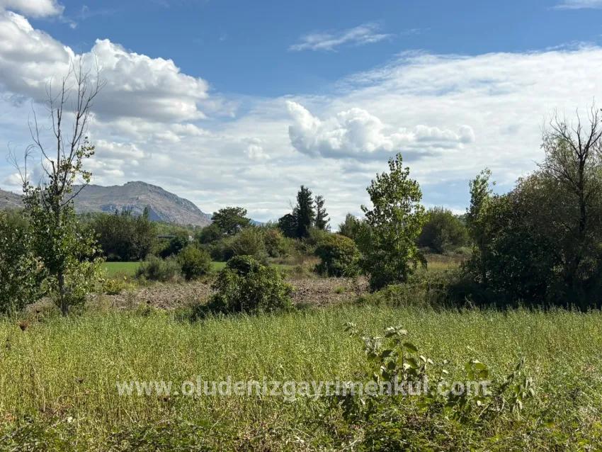 Для продажи Поле в Zeytinalanı Köyceğiz - Под Поле застройку - 10.500 m²