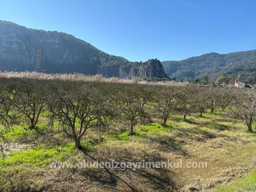Для продажи Сюжет в Dalyan Ortaca - Под Жилье застройку - 5.985 m²