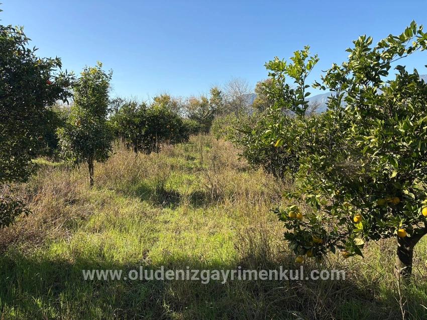 Для продажи Поле в Dalyan Ortaca - Под Поле застройку - 4.541 m²