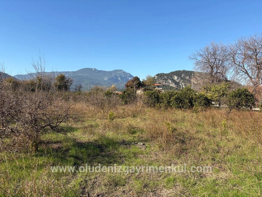 Для продажи Поле в Dalyan Ortaca - Под Поле застройку - 4.541 m²
