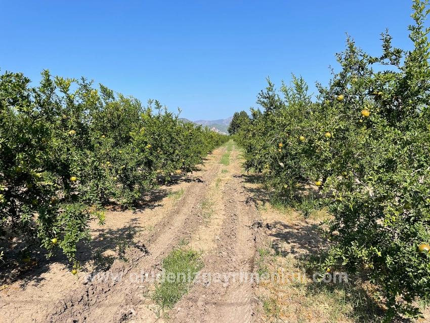 Для продажи Поле в Dalyan Ortaca - Под Жилье застройку - 10.000 m²