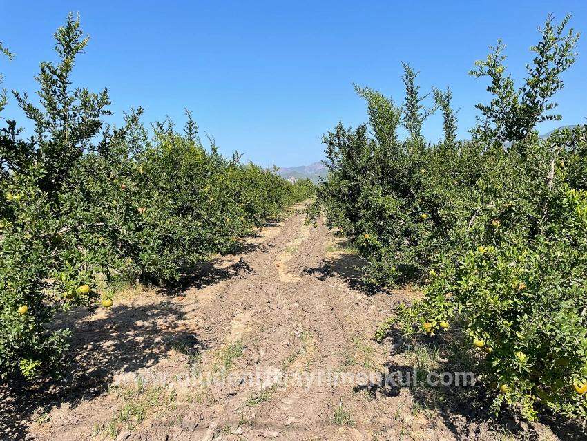 Для продажи Поле в Dalyan Ortaca - Под Жилье застройку - 10.000 m²