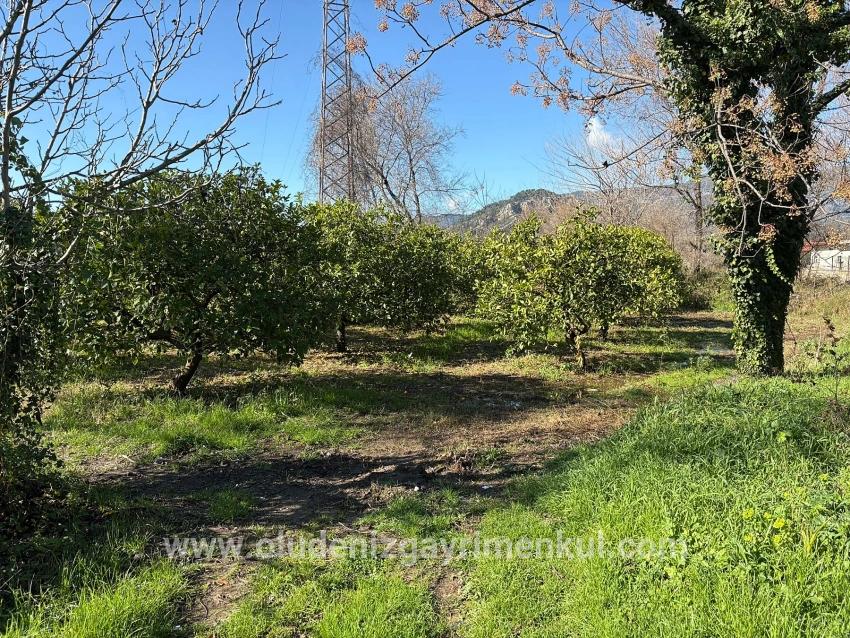 Для продажи Поле в Dalyan Ortaca - Под Поле застройку - 16.500 m²