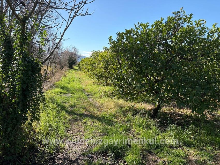 Для продажи Поле в Dalyan Ortaca - Под Поле застройку - 16.500 m²