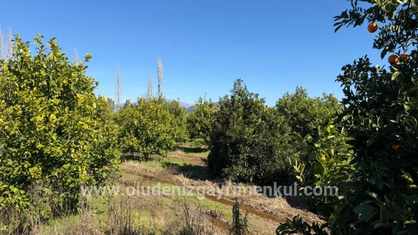 Продается Земельный Участок Площадью 2 218 М² В Окчуларе, Мармарис.