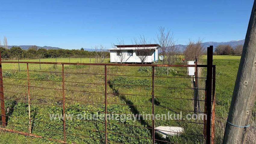 Земля 509m2 На Продажу В Окчуларе