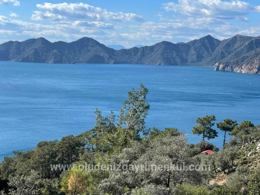 Чандыр 20.000m2 2b С Полным Видом На Море На Продажу