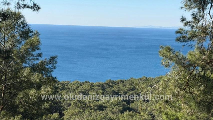 Для продажи Поле в Çandır Köyceğiz - Под Жилье застройку - 5.715 m²