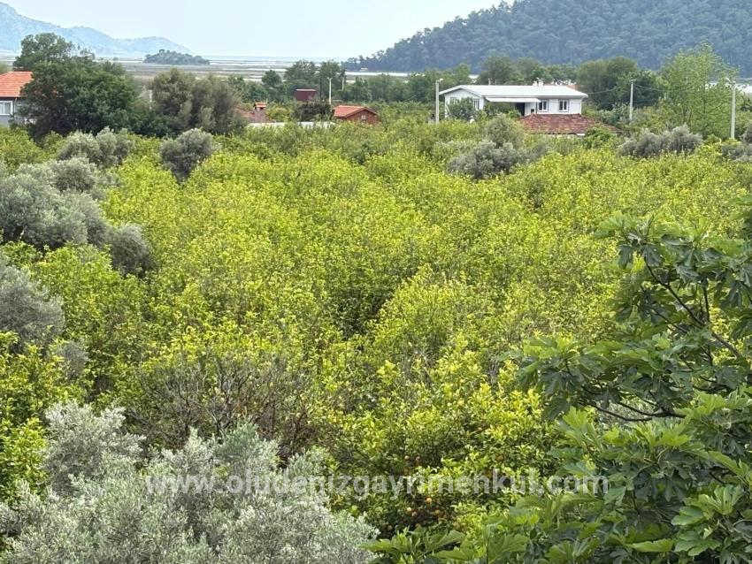 В Чандыре Земельный Участок С Видом На Море И Озеро 1.721m2 Для Продажи