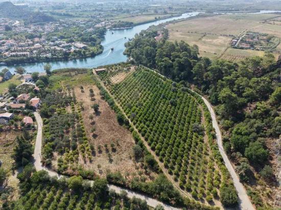 Село Köyceğiz в районе Çandır, у канала, 20.000м2 продажа поля