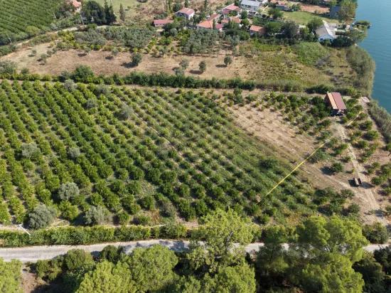 Село Köyceğiz в районе Çandır, у канала, 20.000м2 продажа поля