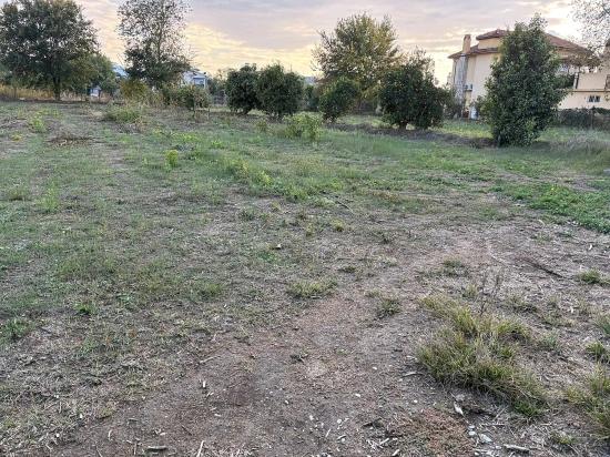 В Дальяне Продается Земельный Участок Площадью 7450 М² С Зонированием 5%.