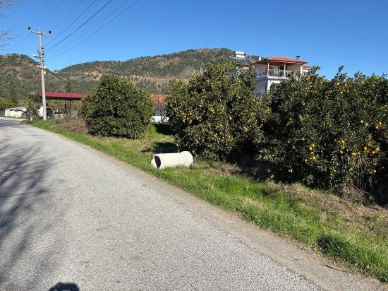 Продается Земельный Участок В Экшилиюрте, С Разрешением На Застройку, Площадью 1085 М2.
