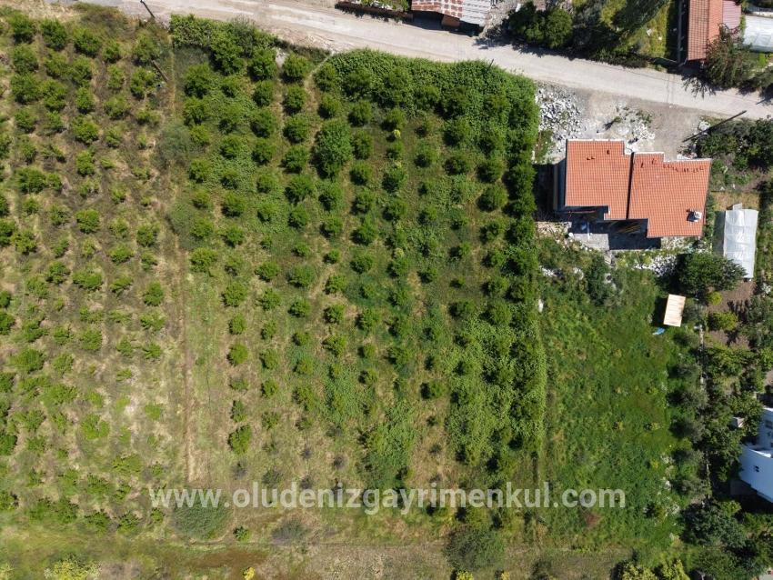 Okçular'da 1050m2 Köy Yerleşik Alanında Satılık Arsa