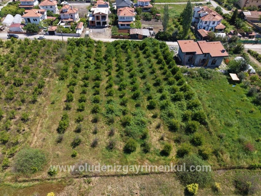 Okçular'da 1050m2 Köy Yerleşik Alanında Satılık Arsa