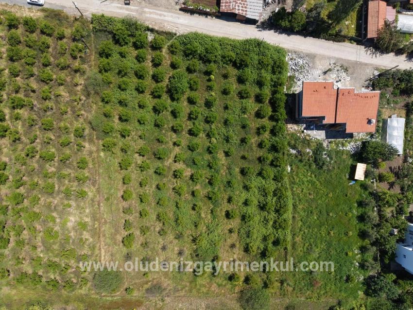 Okçular'da 1050m2 Köy Yerleşik Alanında Satılık Arsa