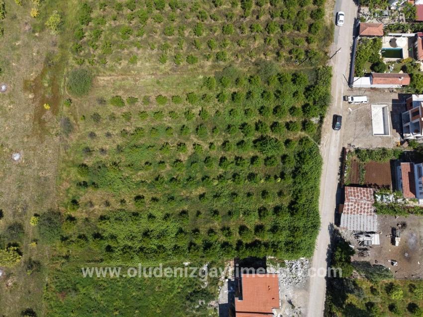 Okçular'da 1050m2 Köy Yerleşik Alanında Satılık Arsa