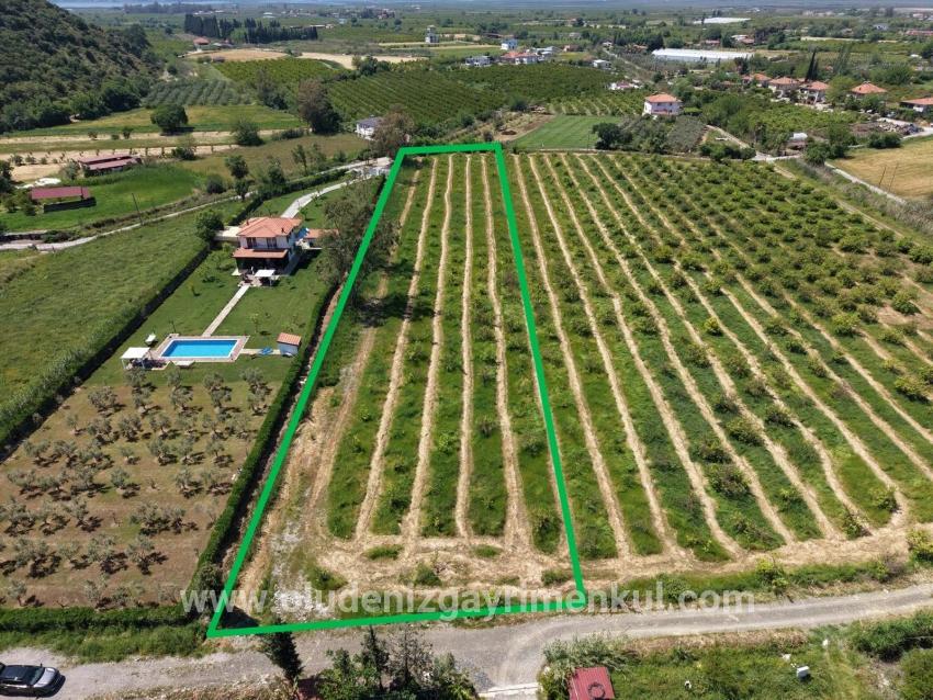 Ortaca Dalyan Mah. Satılık Tarla - Tarla İmar Durumlu - 5.100 m²