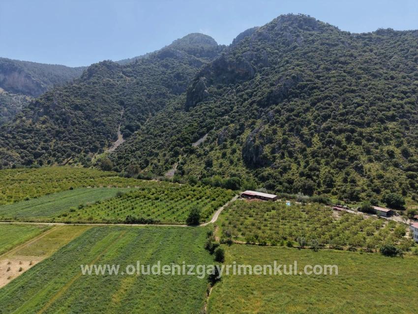 Dalyan Merkeze Yakın 5100m2 Satılık Tarla