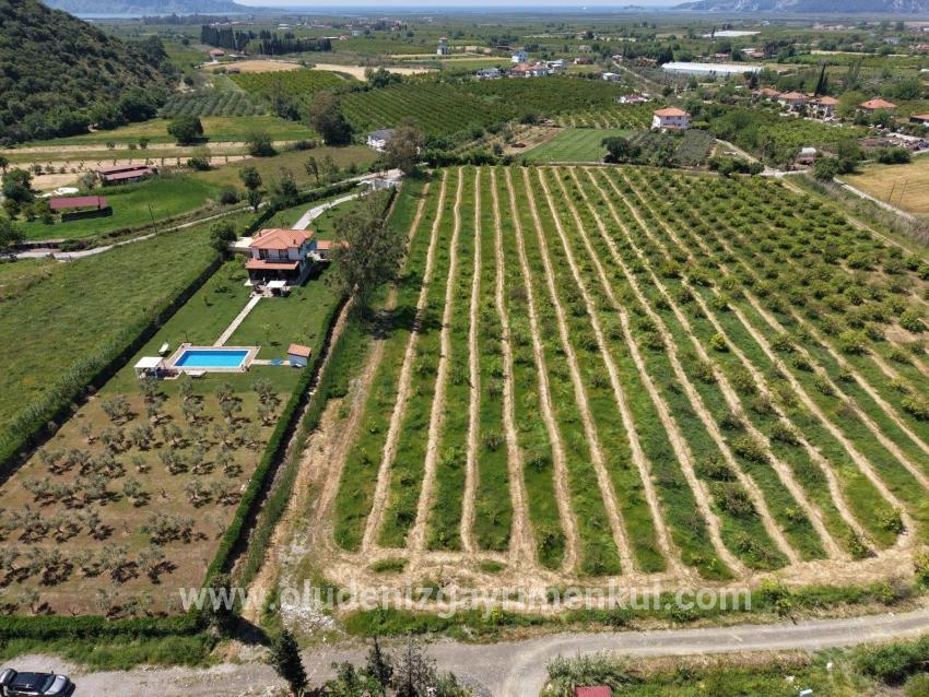Dalyan Merkeze Yakın 5100m2 Satılık Tarla