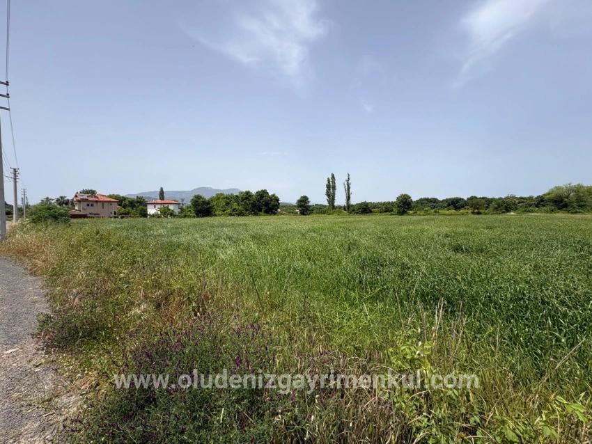 Okçular Marmarlı'da 2390m2 Satılık Arsa