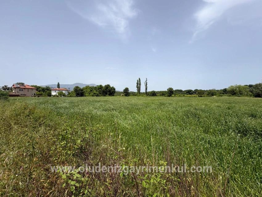 Okçular Marmarlı'da 2390m2 Satılık Arsa