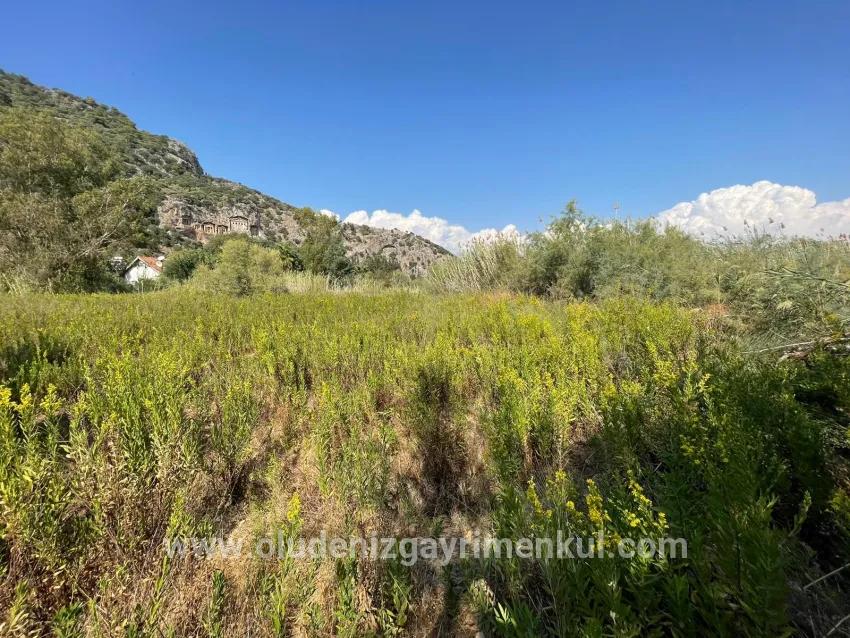 Köyceğiz Çandır Mah. Satılık 1+0 Müstakil ev - 2.765 m²