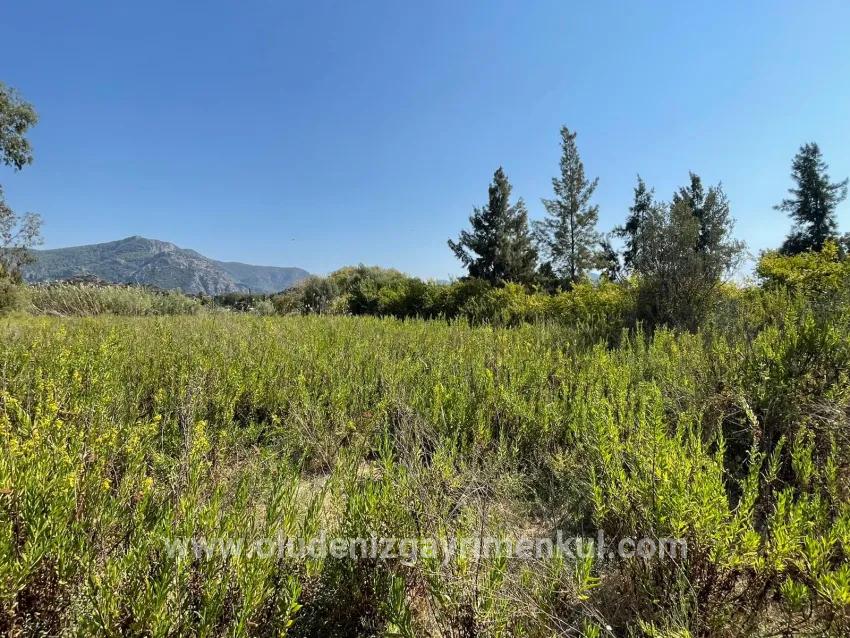 Köyceğiz Çandır Mah. Satılık 1+0 Müstakil ev - 2.765 m²