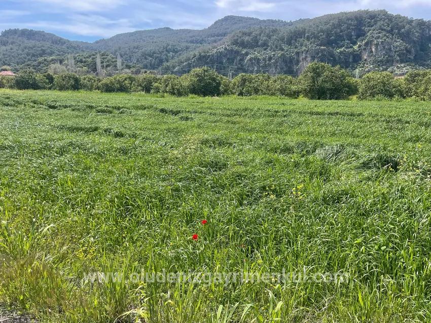 Okçular'da 736m2 Olan 250m2 İnşaat İzinli Satılık Arsa