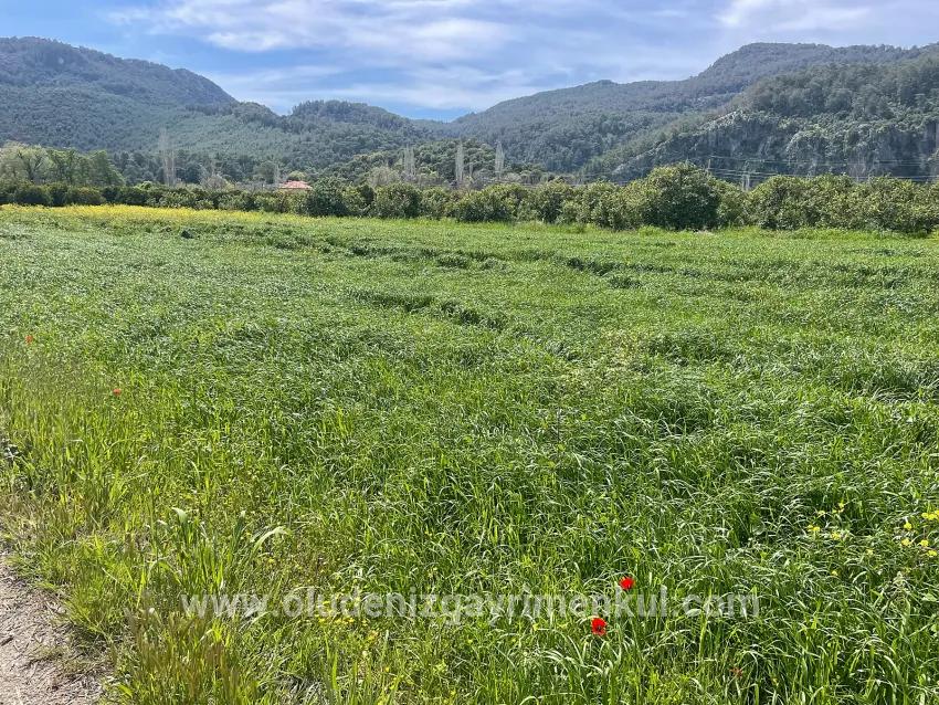 Okçular'da 736m2 Olan 250m2 İnşaat İzinli Satılık Arsa