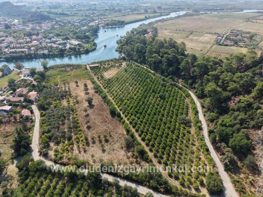 Köyceğiz Çandır Mahallesinde kanala sıfır 20.000m2 satılık tarla