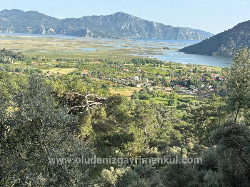 Çandır'da göl ve doğa manzaralı 1252m2 satılık tarla