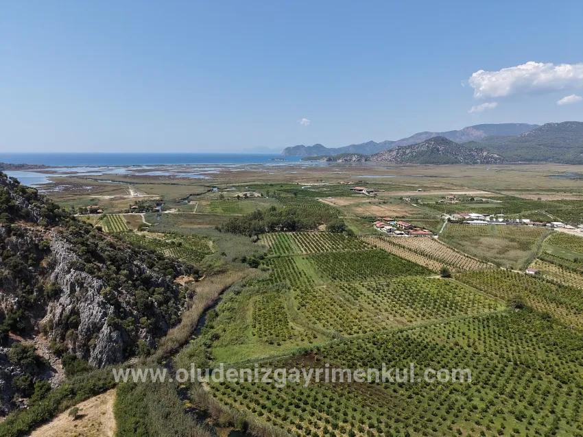 Ortaca Dalyan Mah. Satılık Tarla - Tarla İmar Durumlu - 20.786 m²