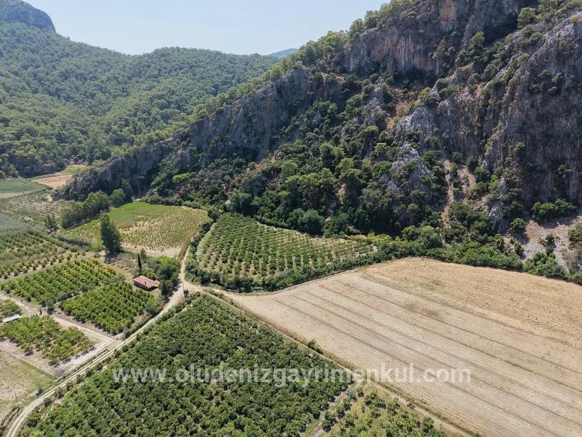 Ortaca Dalyan Mah. Satılık Tarla - Tarla İmar Durumlu - 20.786 m²