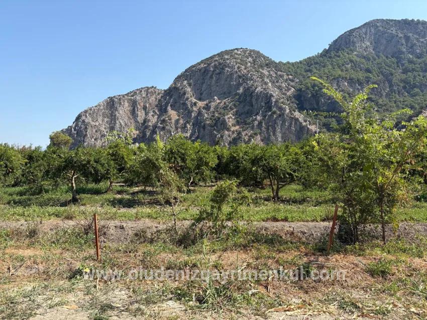 Ortaca Dalyan Mah. Satılık Tarla - Tarla İmar Durumlu - 20.786 m²