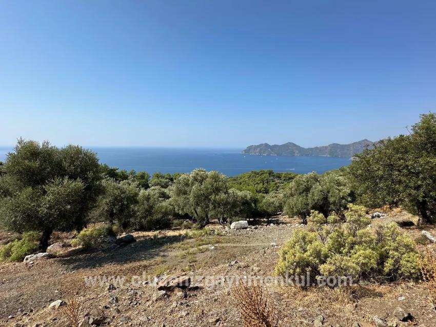 Köyceğiz Çandır Mah. Satılık Tarla - Tarla İmar Durumlu - 21.000 m²